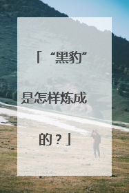 “黑豹”是怎样炼成的？