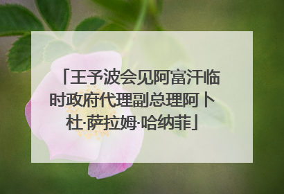 王予波会见阿富汗临时政府代理副总理阿卜杜·萨拉姆·哈纳菲