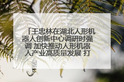 王忠林在湖北人形机器人创新中心调研时强调 加快推动人形机器人产业高质量发展 打造具有全国影响力的研发创新基地
