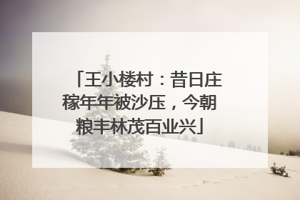 王小楼村：昔日庄稼年年被沙压，今朝粮丰林茂百业兴