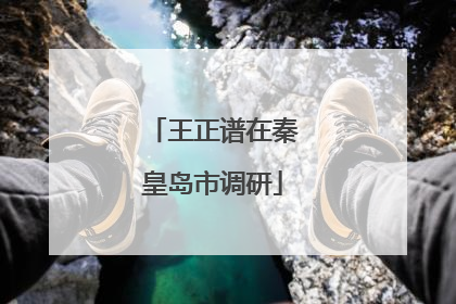 王正谱在秦皇岛市调研