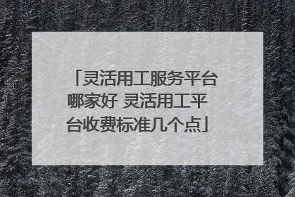 灵活用工服务平台哪家好 灵活用工平台收费标准几个点