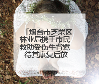 烟台市芝罘区林业局携手市民救助受伤牛背鹭 待其康复后放归自然