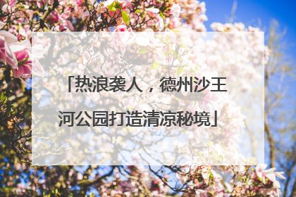 热浪袭人，德州沙王河公园打造清凉秘境