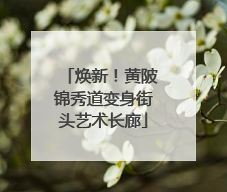 焕新！黄陂锦秀道变身街头艺术长廊