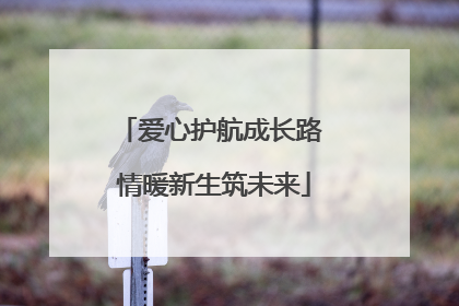 爱心护航成长路 情暖新生筑未来
