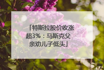 特斯拉股价收涨超3%：马斯克父亲劝儿子低头