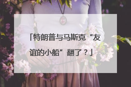 特朗普与马斯克“友谊的小船”翻了？