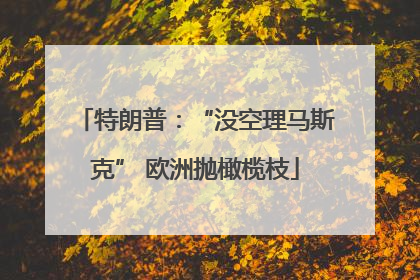 特朗普：“没空理马斯克” 欧洲抛橄榄枝
