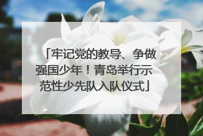 牢记党的教导、争做强国少年！青岛举行示范性少先队入队仪式