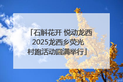 石斛花开 悦动龙西 2025龙西乡荧光村跑活动圆满举行