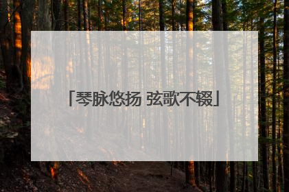 琴脉悠扬 弦歌不辍