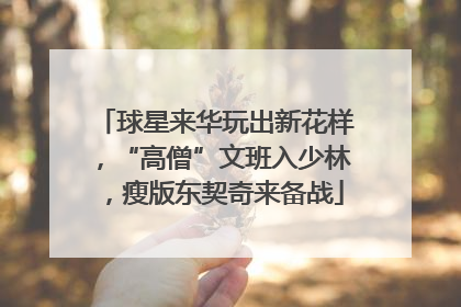 球星来华玩出新花样，“高僧”文班入少林，瘦版东契奇来备战