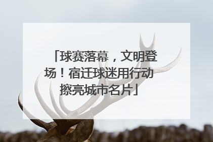球赛落幕，文明登场！宿迁球迷用行动擦亮城市名片