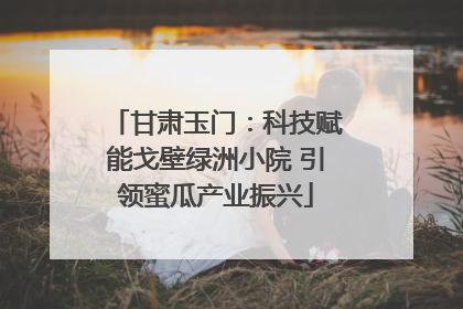 甘肃玉门：科技赋能戈壁绿洲小院 引领蜜瓜产业振兴