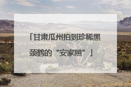 甘肃瓜州拍到珍稀黑颈鹤的“安家照”