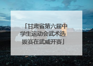 甘肃省第六届中学生运动会武术选拔赛在武威开赛