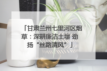 甘肃兰州七里河区烟草：深耕廉洁土壤 劲扬“丝路清风”