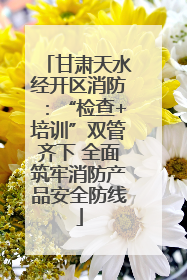 甘肃天水经开区消防：“检查+培训”双管齐下 全面筑牢消防产品安全防线