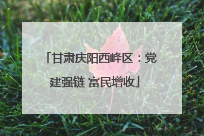 甘肃庆阳西峰区：党建强链 富民增收