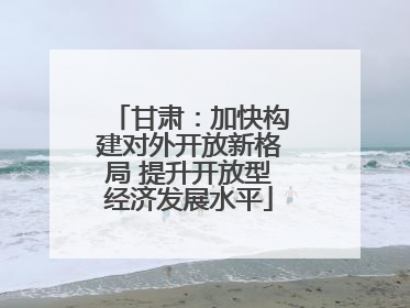 甘肃：加快构建对外开放新格局 提升开放型经济发展水平