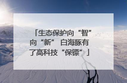 生态保护向“智”向“新” 白海豚有了高科技“保镖”