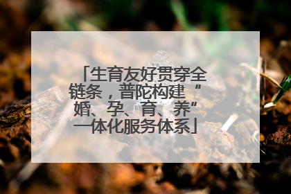 生育友好贯穿全链条，普陀构建“婚、孕、育、养”一体化服务体系