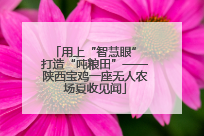 用上“智慧眼” 打造“吨粮田”——陕西宝鸡一座无人农场夏收见闻