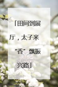 田间到展厅，太子米“香”飘振兴路
