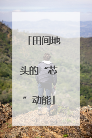 田间地头的“芯”动能