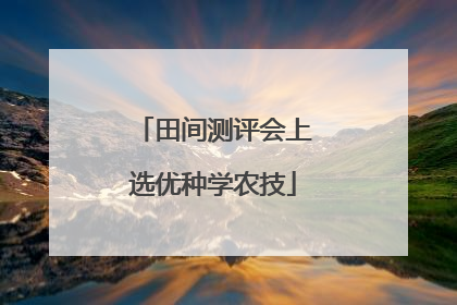 田间测评会上选优种学农技