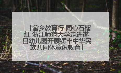 畲乡教育行 同心石榴红 浙江师范大学走进遂昌幼儿园开展铸牢中华民族共同体意识教育