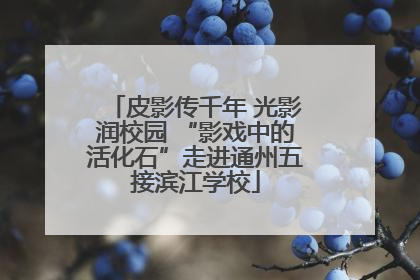 皮影传千年 光影润校园 “影戏中的活化石”走进通州五接滨江学校
