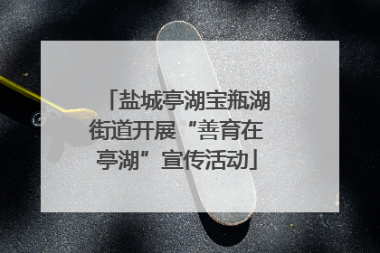 盐城亭湖宝瓶湖街道开展“善育在亭湖”宣传活动