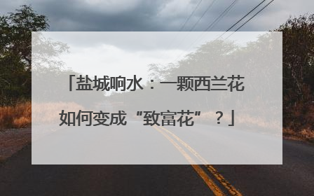 盐城响水：一颗西兰花如何变成“致富花”？