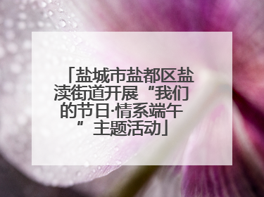 盐城市盐都区盐渎街道开展“我们的节日·情系端午”主题活动