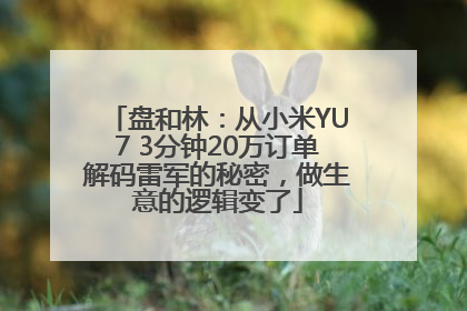 盘和林：从小米YU7 3分钟20万订单解码雷军的秘密，做生意的逻辑变了