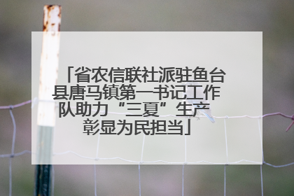 省农信联社派驻鱼台县唐马镇第一书记工作队助力“三夏”生产 彰显为民担当