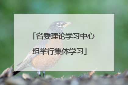 省委理论学习中心组举行集体学习