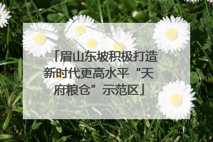 眉山东坡积极打造新时代更高水平“天府粮仓”示范区