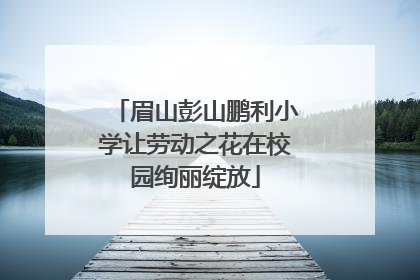 眉山彭山鹏利小学让劳动之花在校园绚丽绽放