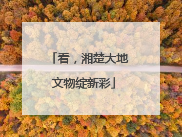 看，湘楚大地文物绽新彩