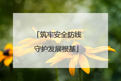 筑牢安全防线 守护发展根基