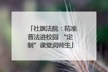 社旗法院：精准普法进校园 “定制”课堂润师生