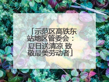 示范区高铁东站地区管委会：夏日送清凉 致敬最美劳动者
