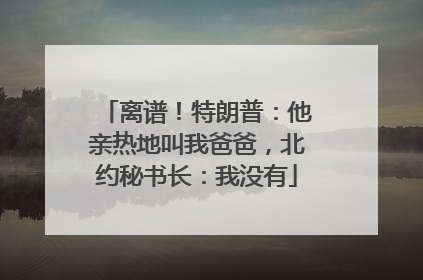 离谱！特朗普：他亲热地叫我爸爸，北约秘书长：我没有