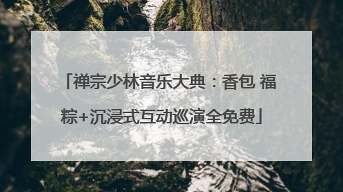 禅宗少林音乐大典：香包 福粽+沉浸式互动巡演全免费