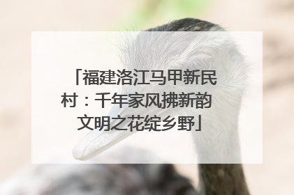 福建洛江马甲新民村：千年家风拂新韵 文明之花绽乡野