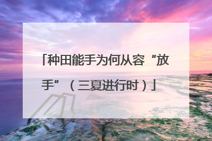 种田能手为何从容“放手”（三夏进行时）