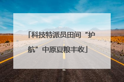 科技特派员田间“护航”中原夏粮丰收